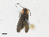  ( - CBG-A21730-B11)  @11 [ ] CreativeCommons - Attribution Share-Alike (2023) CBG Photography Group Centre for Biodiversity Genomics
