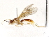  ( - BIOUG73663-D01)  @11 [ ] CreativeCommons - Attribution (2022) CBG Photography Group Centre for Biodiversity Genomics
