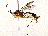  ( - BIOUG73663-H09)  @11 [ ] CreativeCommons - Attribution (2022) CBG Photography Group Centre for Biodiversity Genomics