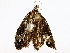  ( - BIOUG73664-E05)  @11 [ ] CreativeCommons - Attribution (2022) CBG Photography Group Centre for Biodiversity Genomics