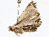  ( - BIOUG73665-E12)  @11 [ ] CreativeCommons - Attribution (2022) CBG Photography Group Centre for Biodiversity Genomics