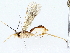  ( - BIOUG73667-A09)  @11 [ ] CreativeCommons - Attribution (2022) CBG Photography Group Centre for Biodiversity Genomics