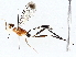  ( - BIOUG73669-E09)  @11 [ ] CreativeCommons - Attribution (2022) CBG Photography Group Centre for Biodiversity Genomics