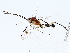  ( - BIOUG73669-H03)  @11 [ ] CreativeCommons - Attribution (2022) CBG Photography Group Centre for Biodiversity Genomics