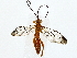  ( - BIOUG73670-A02)  @11 [ ] CreativeCommons - Attribution (2022) CBG Photography Group Centre for Biodiversity Genomics