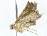  ( - BIOUG73670-D05)  @11 [ ] CreativeCommons - Attribution (2022) CBG Photography Group Centre for Biodiversity Genomics
