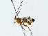  ( - BIOUG80148-D12)  @11 [ ] CreativeCommons - Attribution (2022) CBG Photography Group Centre for Biodiversity Genomics