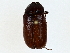  ( - BIOUG80149-B02)  @11 [ ] CreativeCommons - Attribution (2022) CBG Photography Group Centre for Biodiversity Genomics