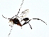  ( - BIOUG80150-C05)  @11 [ ] CreativeCommons - Attribution (2022) CBG Photography Group Centre for Biodiversity Genomics