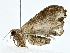  ( - BIOUG80150-E07)  @11 [ ] CreativeCommons - Attribution (2022) CBG Photography Group Centre for Biodiversity Genomics