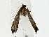  ( - BIOUG80150-F01)  @11 [ ] CreativeCommons - Attribution (2022) CBG Photography Group Centre for Biodiversity Genomics