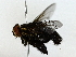  ( - BIOUG80150-F02)  @11 [ ] CreativeCommons - Attribution (2022) CBG Photography Group Centre for Biodiversity Genomics