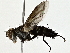  ( - BIOUG80169-E01)  @11 [ ] CreativeCommons - Attribution (2022) CBG Photography Group Centre for Biodiversity Genomics