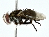  ( - BIOUG80170-A08)  @11 [ ] CreativeCommons - Attribution (2022) CBG Photography Group Centre for Biodiversity Genomics