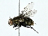  ( - BIOUG80170-A10)  @11 [ ] CreativeCommons - Attribution (2022) CBG Photography Group Centre for Biodiversity Genomics