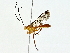  ( - BIOUG80170-B02)  @11 [ ] CreativeCommons - Attribution (2022) CBG Photography Group Centre for Biodiversity Genomics