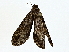  ( - BIOUG80176-A05)  @11 [ ] CreativeCommons - Attribution (2022) CBG Photography Group Centre for Biodiversity Genomics