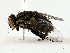  ( - BIOUG80176-E03)  @11 [ ] CreativeCommons - Attribution (2022) CBG Photography Group Centre for Biodiversity Genomics