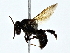  ( - BIOUG85247-B10)  @11 [ ] CreativeCommons - Attribution (2022) CBG Photography Group Centre for Biodiversity Genomics