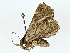  ( - BIOUG85247-D07)  @11 [ ] CreativeCommons - Attribution (2022) CBG Photography Group Centre for Biodiversity Genomics