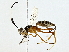  ( - BIOUG85247-G02)  @11 [ ] CreativeCommons - Attribution (2022) CBG Photography Group Centre for Biodiversity Genomics
