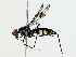  ( - BIOUG80159-F02)  @11 [ ] CreativeCommons - Attribution (2022) CBG Photography Group Centre for Biodiversity Genomics