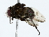  ( - BIOUG80161-C11)  @11 [ ] CreativeCommons - Attribution (2022) CBG Photography Group Centre for Biodiversity Genomics