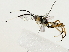  ( - BIOUG80161-F01)  @11 [ ] CreativeCommons - Attribution (2022) CBG Photography Group Centre for Biodiversity Genomics