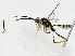  ( - BIOUG80161-F02)  @11 [ ] CreativeCommons - Attribution (2022) CBG Photography Group Centre for Biodiversity Genomics