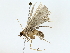  ( - BIOUG80162-E09)  @11 [ ] CreativeCommons - Attribution (2022) CBG Photography Group Centre for Biodiversity Genomics