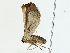  ( - BIOUG80162-F02)  @11 [ ] CreativeCommons - Attribution (2022) CBG Photography Group Centre for Biodiversity Genomics