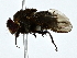  ( - BIOUG80170-G09)  @11 [ ] CreativeCommons - Attribution (2022) CBG Photography Group Centre for Biodiversity Genomics