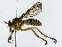  ( - BIOUG80177-F12)  @11 [ ] CreativeCommons - Attribution (2022) CBG Photography Group Centre for Biodiversity Genomics
