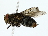  ( - BIOUG80178-B05)  @11 [ ] CreativeCommons - Attribution (2022) CBG Photography Group Centre for Biodiversity Genomics