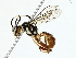  ( - BIOUG80178-E03)  @11 [ ] CreativeCommons - Attribution (2022) CBG Photography Group Centre for Biodiversity Genomics