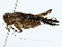  ( - BIOUG85249-F08)  @11 [ ] CreativeCommons - Attribution (2022) CBG Photography Group Centre for Biodiversity Genomics