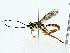  ( - BIOUG85256-D07)  @11 [ ] CreativeCommons - Attribution (2022) CBG Photography Group Centre for Biodiversity Genomics