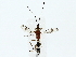  ( - BIOUG85256-D09)  @11 [ ] CreativeCommons - Attribution (2022) CBG Photography Group Centre for Biodiversity Genomics