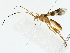  ( - BIOUG85256-F03)  @11 [ ] CreativeCommons - Attribution (2022) CBG Photography Group Centre for Biodiversity Genomics