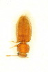  ( - FHI-020)  @12 [ ] Unspecified (default): All Rights Reserved  Unspecified Unspecified