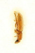  ( - FHI-020)  @12 [ ] Unspecified (default): All Rights Reserved  Unspecified Unspecified