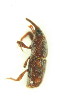  ( - FHI-005)  @11 [ ] Unspecified (default): All Rights Reserved  Unspecified Unspecified