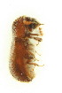  ( - FHI-065)  @12 [ ] Unspecified (default): All Rights Reserved  Unspecified Unspecified