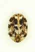  ( - FHI-074)  @11 [ ] Unspecified (default): All Rights Reserved  Unspecified Unspecified