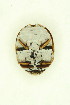  ( - FHI-076)  @11 [ ] Unspecified (default): All Rights Reserved  Unspecified Unspecified