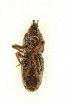  ( - FHI-089)  @11 [ ] Unspecified (default): All Rights Reserved  Unspecified Unspecified