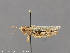  ( - CSU_ENT0064097)  @11 [ ] Unspecified (default): All Rights Reserved  Unspecified Unspecified