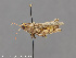  ( - CSU_ENT0064098)  @11 [ ] Unspecified (default): All Rights Reserved  Unspecified Unspecified