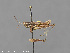  ( - CSU_ENT0064073)  @11 [ ] Unspecified (default): All Rights Reserved  Unspecified Unspecified