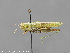  ( - CSU_ENT0064576)  @11 [ ] Unspecified (default): All Rights Reserved  Unspecified Unspecified